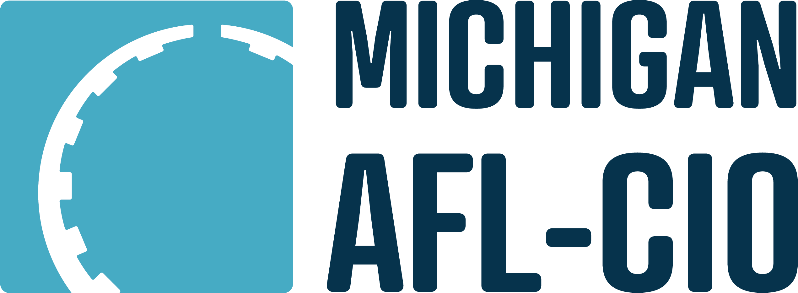 MIAFLCIO Logo